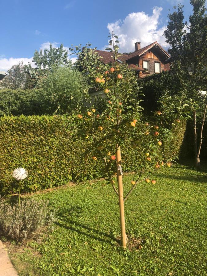 Auszeit Im Allgaeu Sonthofen Zewnętrze zdjęcie