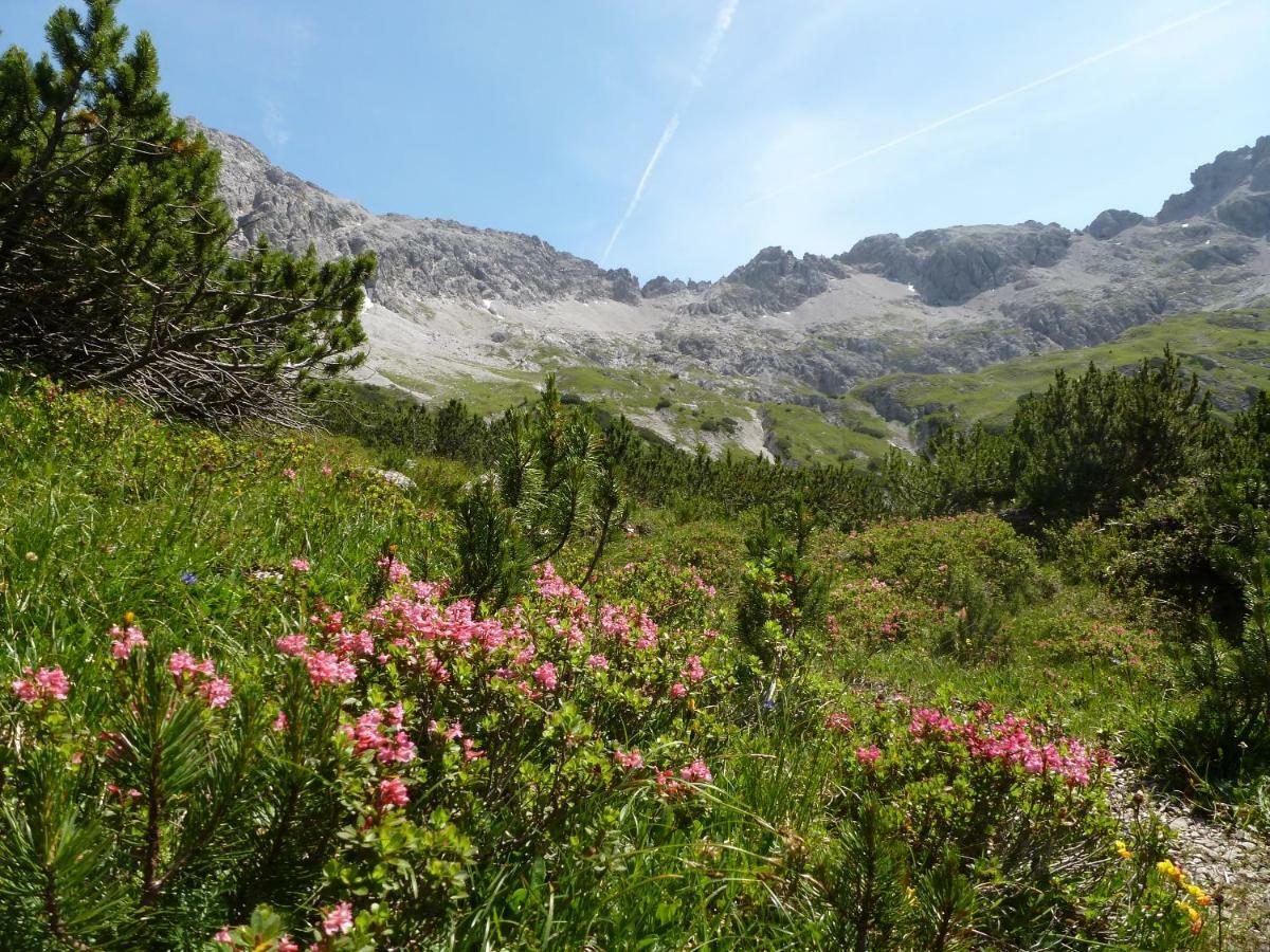 Auszeit Im Allgaeu Sonthofen Zewnętrze zdjęcie